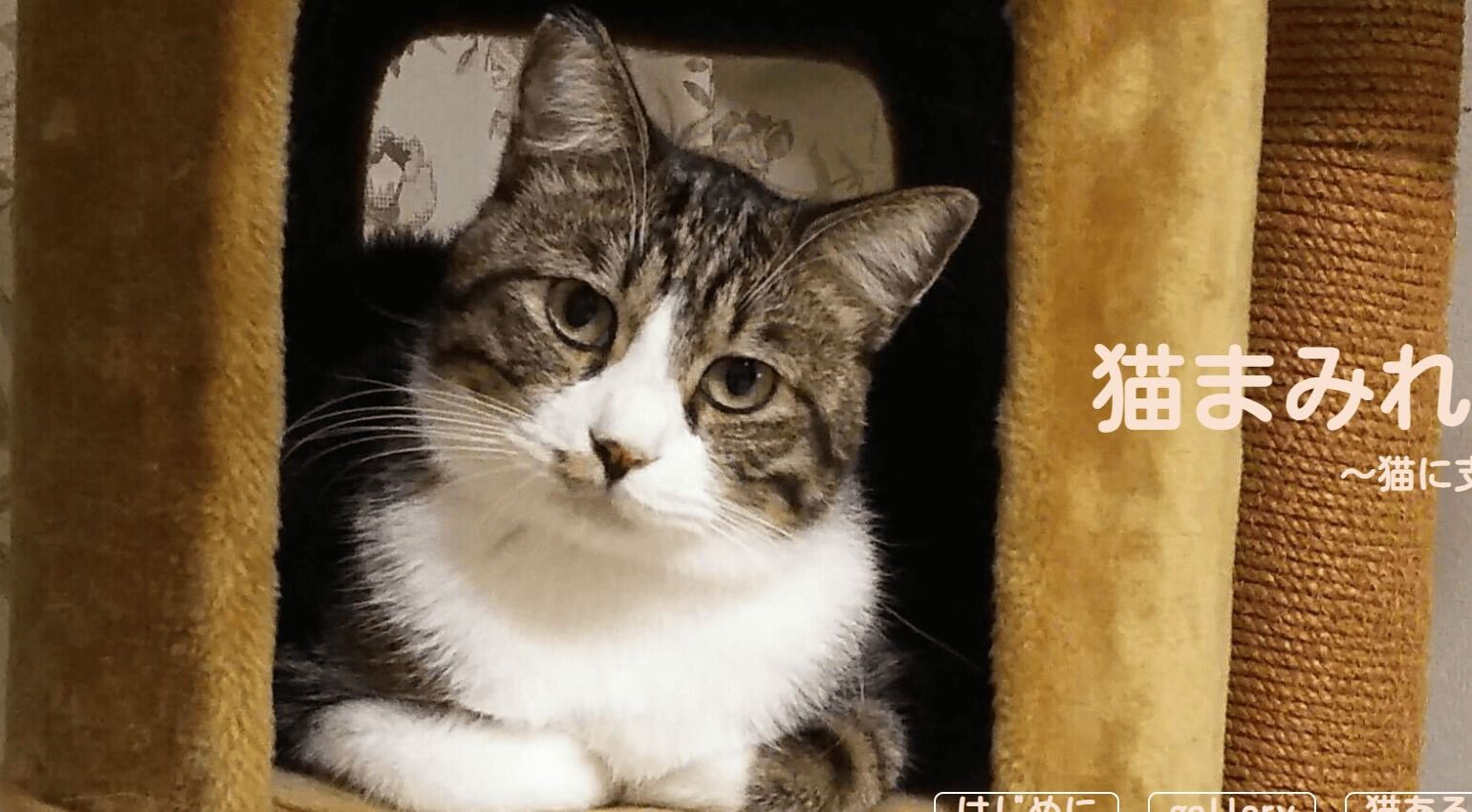 好きなもの紹介サイトへ