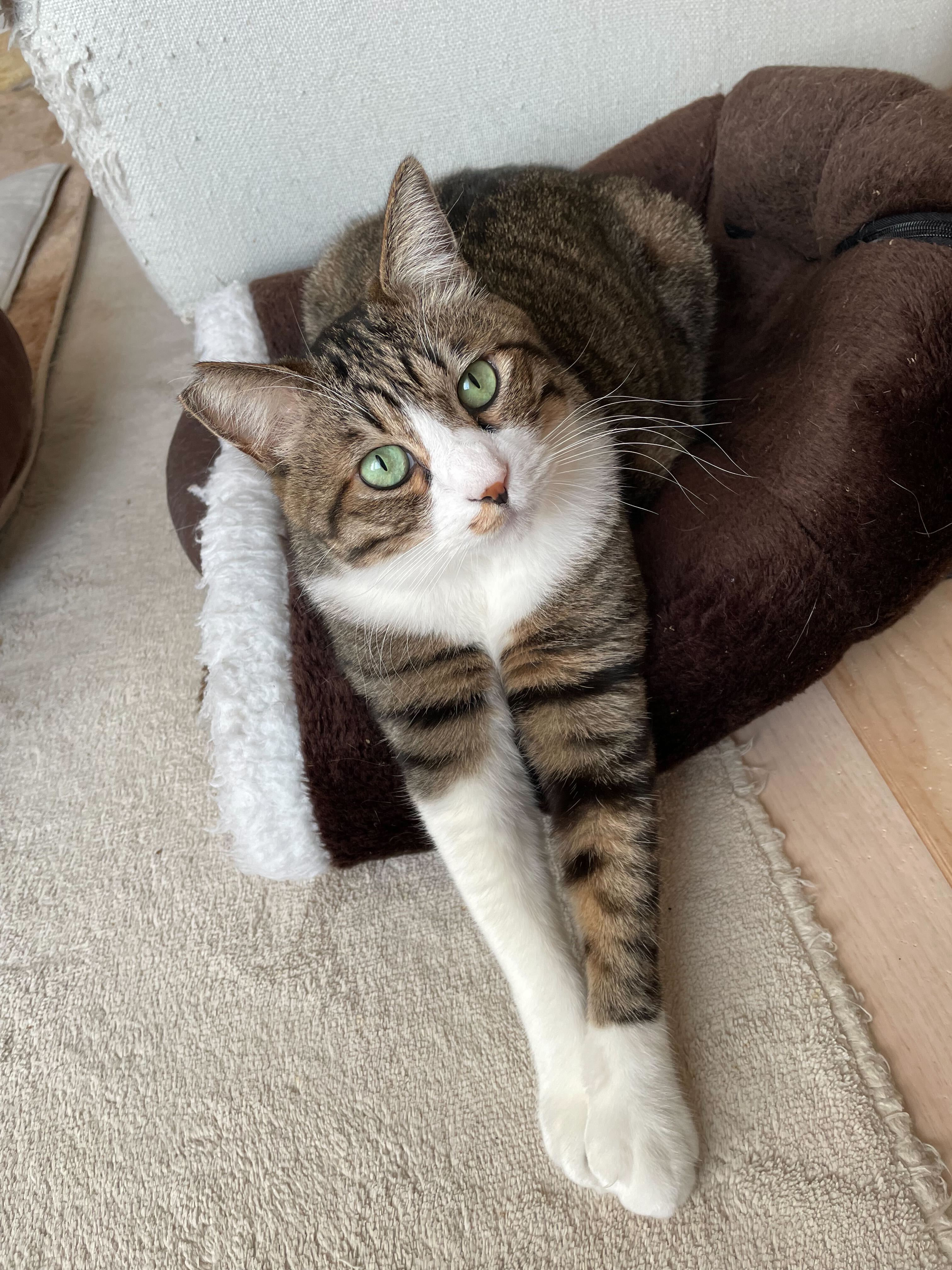 何かを訴えている？